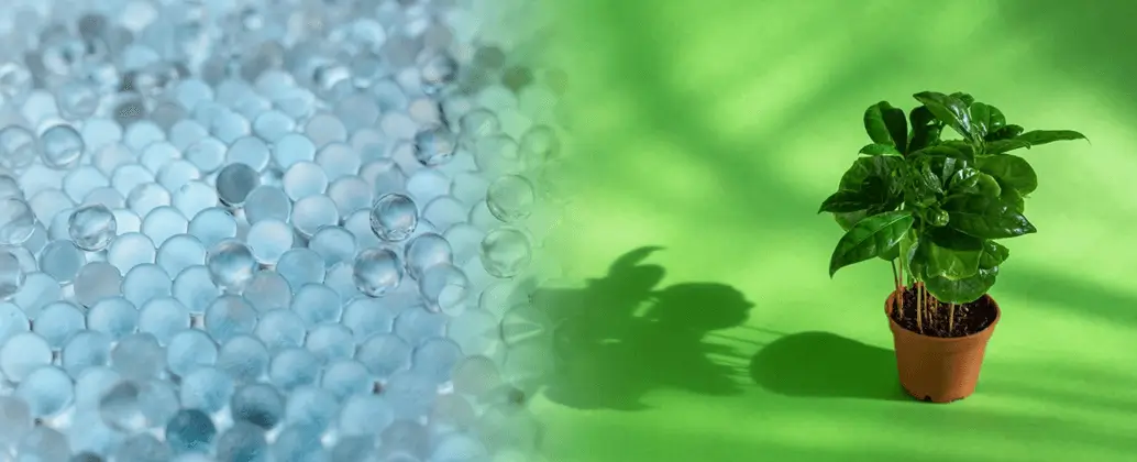 تأثیر خاک ژله‌ای بر بهبود عملکرد گیاهان