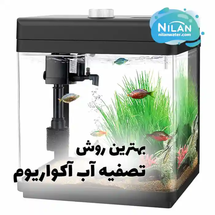 بهترین روش تصفیه آب آکواریوم چیست؟