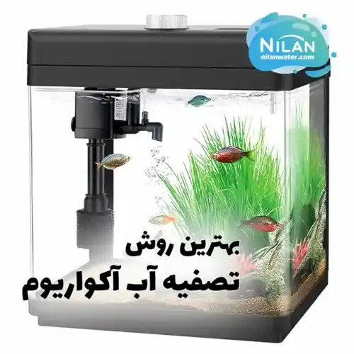 بهترین روش تصفیه آب آکواریوم چیست؟