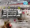 راهنمای قیمت و خرید دستگاه تصفیه آب مرغداری و دامپروری